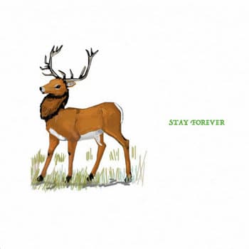 Stay Forever